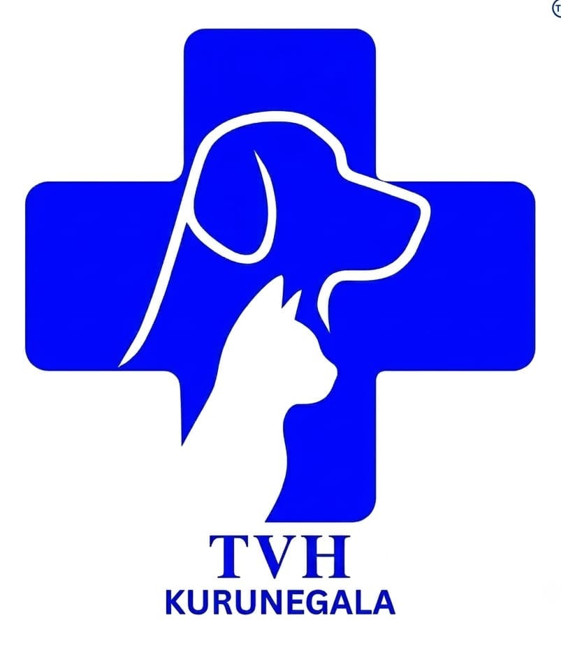 The Veterinary Hospital